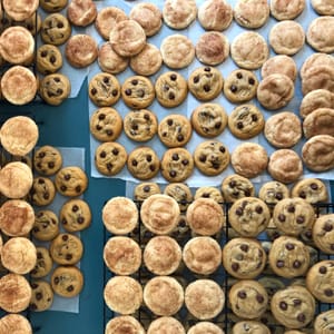 chocolate chip and snickerdoodle cookies